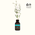 Eucalyptus, Pure Aromatherapy Essential Oil