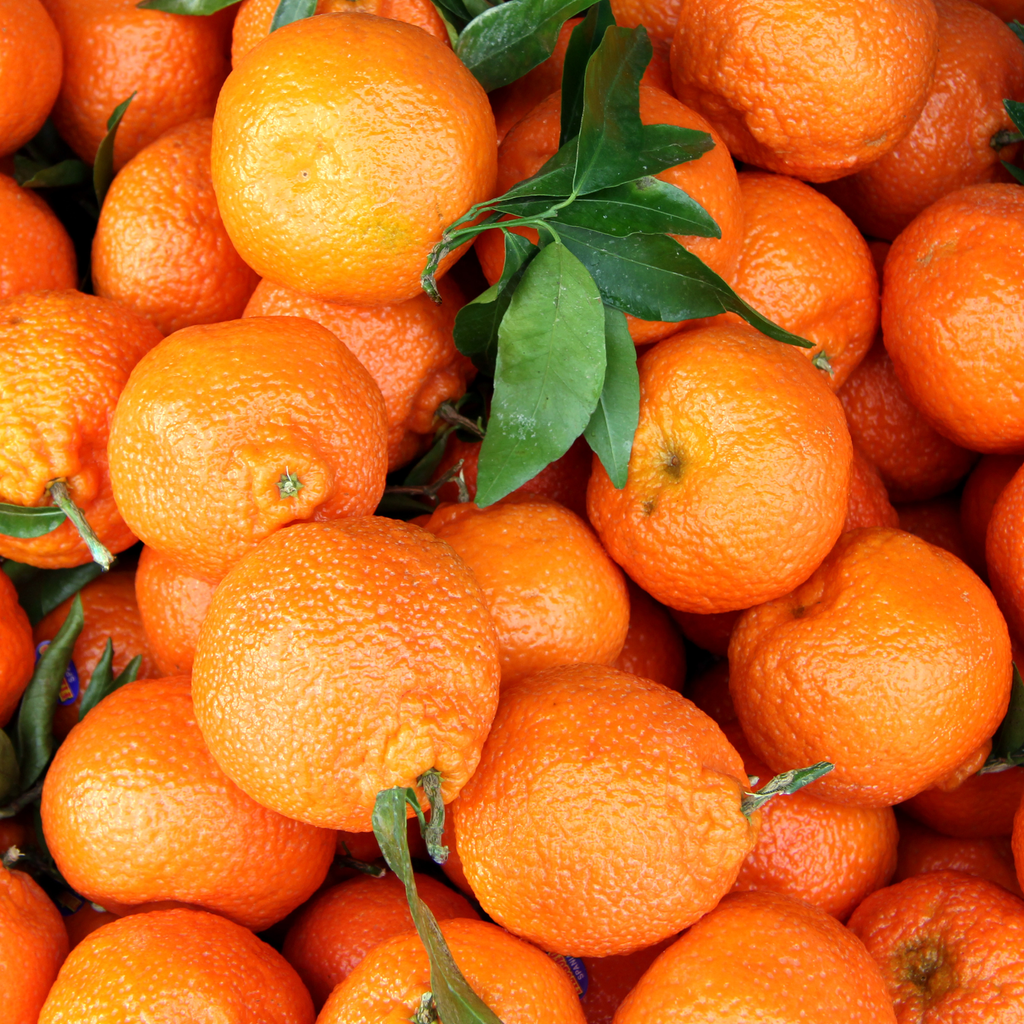 Lime Basil & Mandarin, Pure Aromatherapy Essential Oil