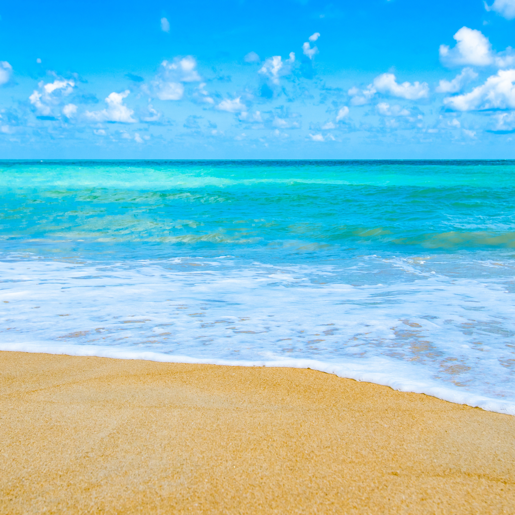 Beach, Pure Aromatherapy Essential Oil