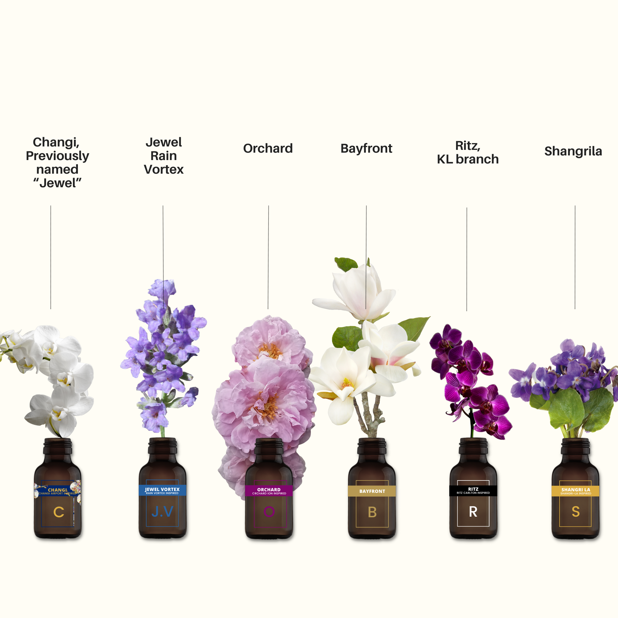 Signature Hotel & Mall - Aromatherapy Oil Set